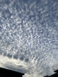 武蔵小杉　きれいな雲
