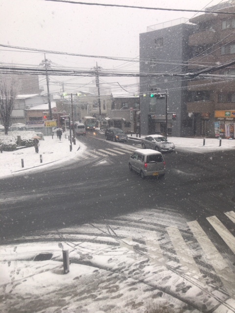 関東　大雪