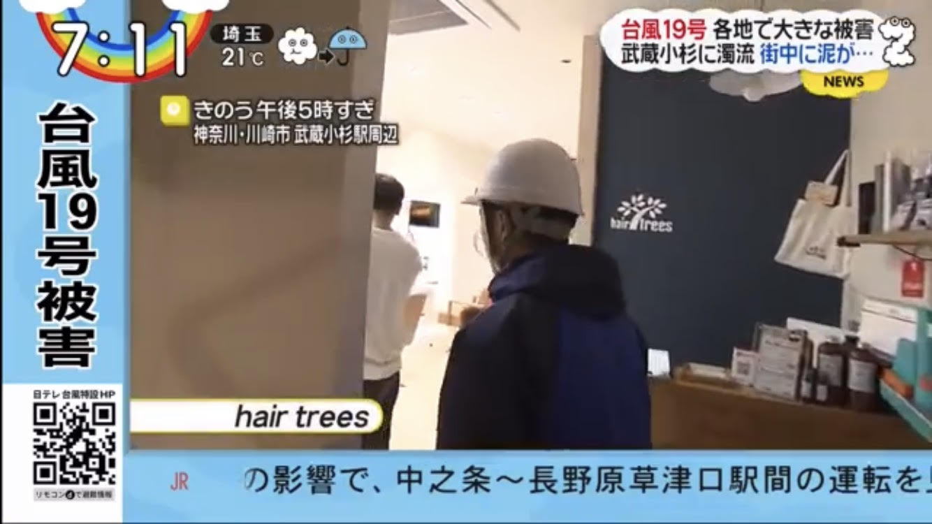 hair trees